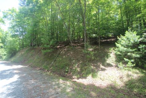 Lt 2628 Garnet Drive Ellijay GA 30540