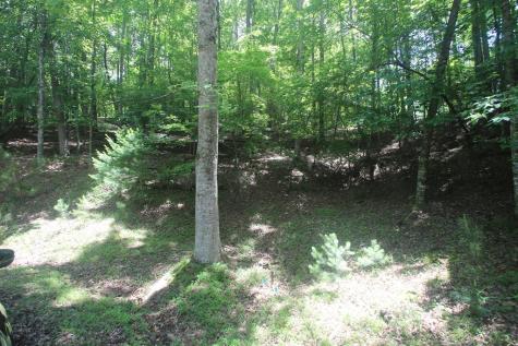 Lt 2628 Garnet Drive Ellijay GA 30540
