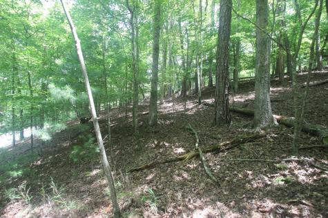 Lt 2628 Garnet Drive Ellijay GA 30540