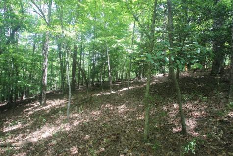 Lt 2628 Garnet Drive Ellijay GA 30540