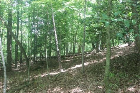 Lt 2628 Garnet Drive Ellijay GA 30540