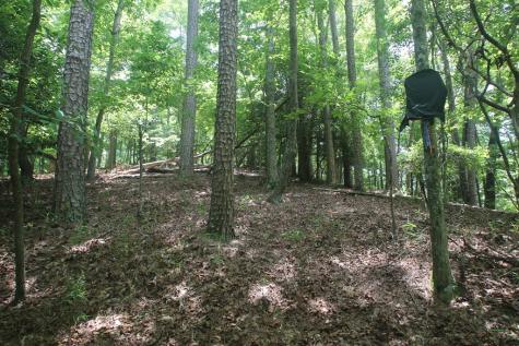 Lt 2628 Garnet Drive Ellijay GA 30540