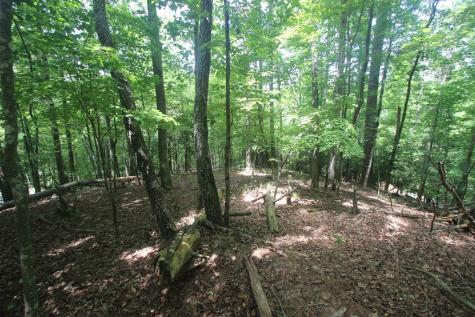 Lt 2628 Garnet Drive Ellijay GA 30540