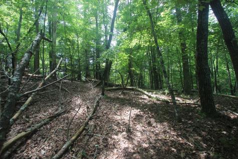 Lt 2628 Garnet Drive Ellijay GA 30540