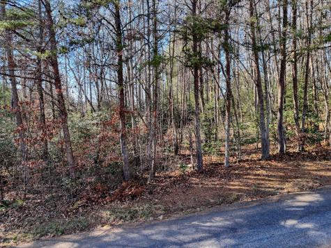 Lot 5 Tombstone Drive Blairsville GA 30512