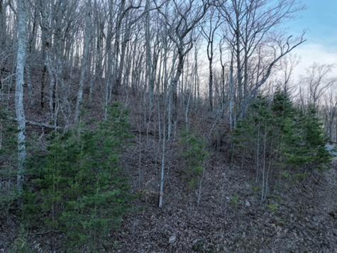 249 Andes Ridge Ellijay GA 30536