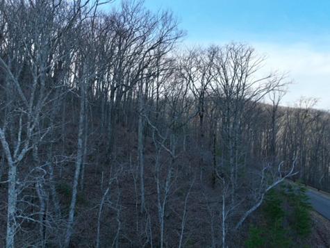 249 Andes Ridge Ellijay GA 30536