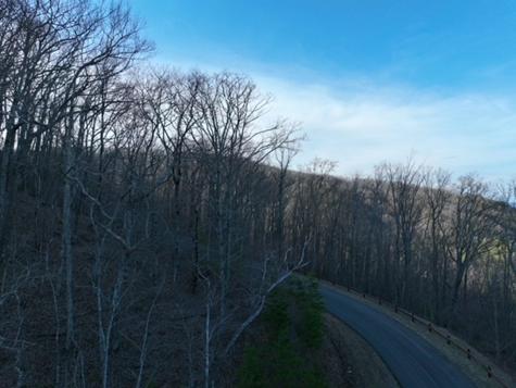 249 Andes Ridge Ellijay GA 30536