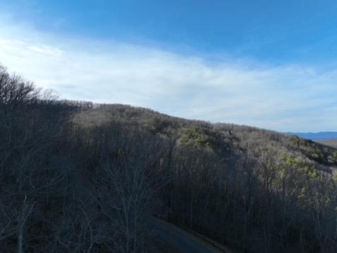 249 Andes Ridge Ellijay GA 30536