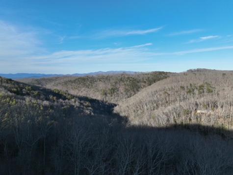 249 Andes Ridge Ellijay GA 30536