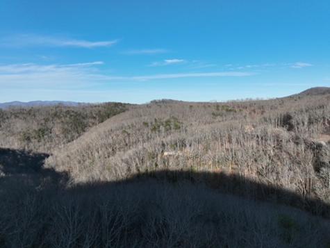 249 Andes Ridge Ellijay GA 30536