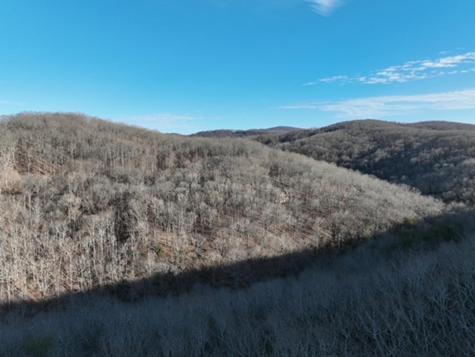 249 Andes Ridge Ellijay GA 30536