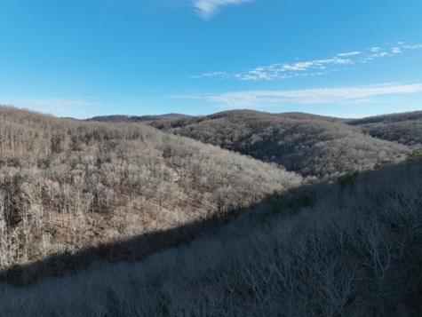 249 Andes Ridge Ellijay GA 30536