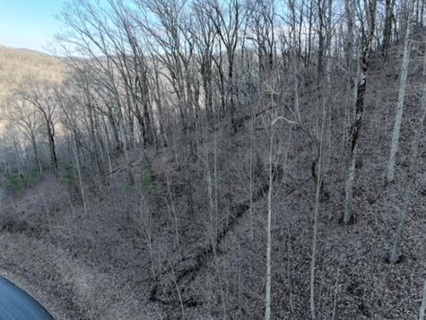 249 Andes Ridge Ellijay GA 30536