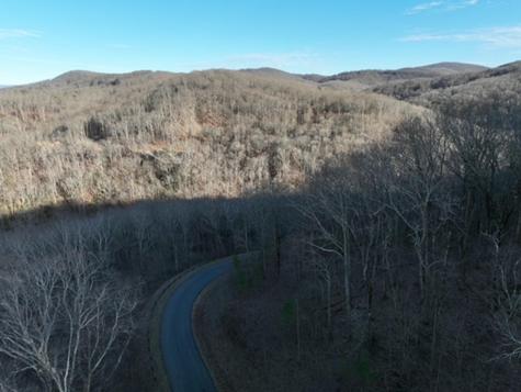 249 Andes Ridge Ellijay GA 30536