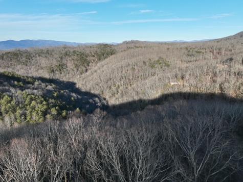 249 Andes Ridge Ellijay GA 30536