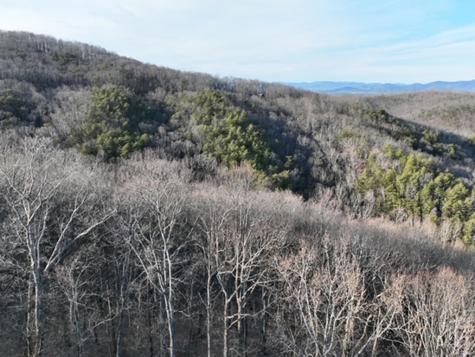 249 Andes Ridge Ellijay GA 30536