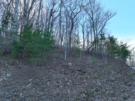 249 Andes Ridge Ellijay GA 30536