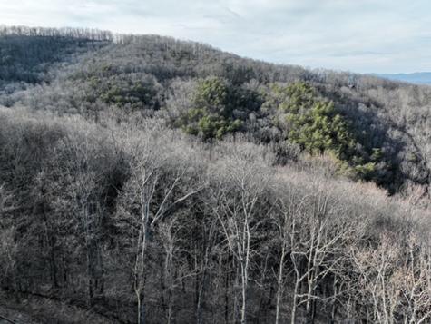 249 Andes Ridge Ellijay GA 30536
