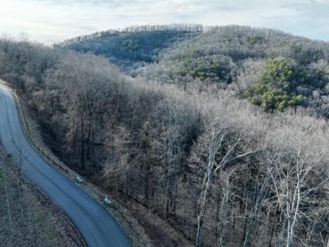 249 Andes Ridge Ellijay GA 30536