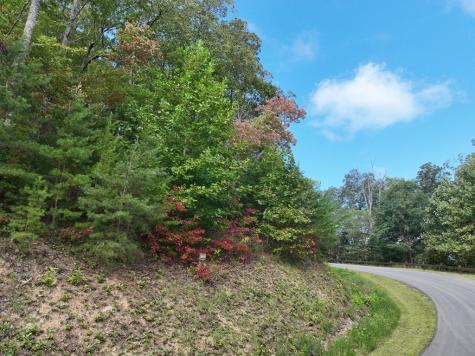 249 Andes Ridge Ellijay GA 30536