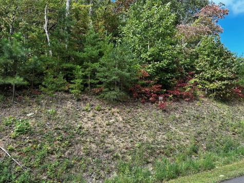 249 Andes Ridge Ellijay GA 30536