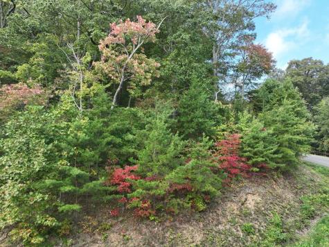 249 Andes Ridge Ellijay GA 30536