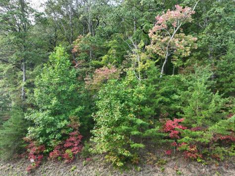 249 Andes Ridge Ellijay GA 30536