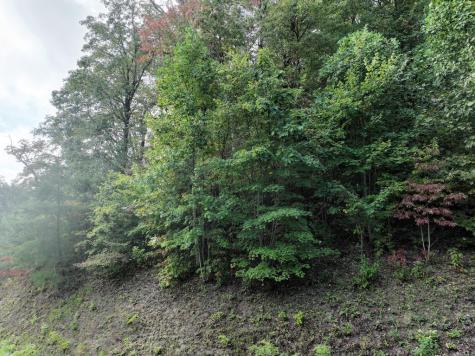 249 Andes Ridge Ellijay GA 30536