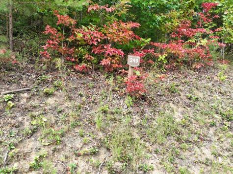 249 Andes Ridge Ellijay GA 30536