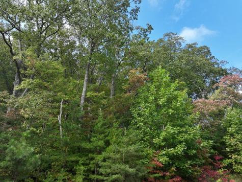 249 Andes Ridge Ellijay GA 30536