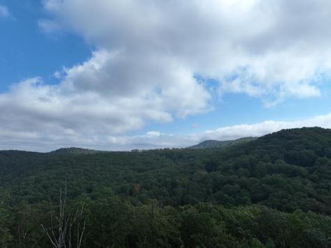 249 Andes Ridge Ellijay GA 30536