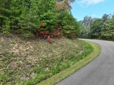 249 Andes Ridge Ellijay GA 30536