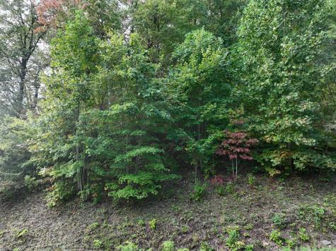 249 Andes Ridge Ellijay GA 30536