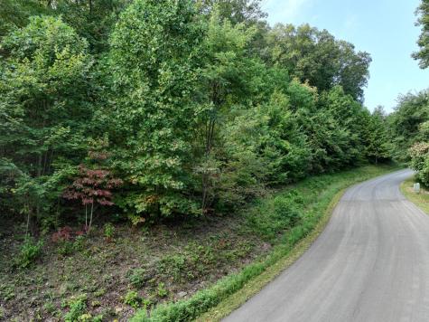 249 Andes Ridge Ellijay GA 30536