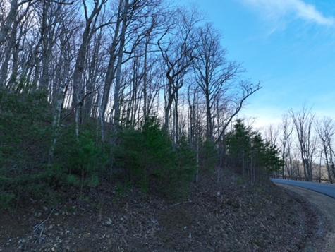 249 Andes Ridge Ellijay GA 30536