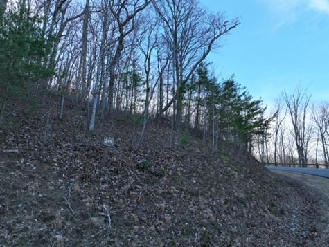 249 Andes Ridge Ellijay GA 30536