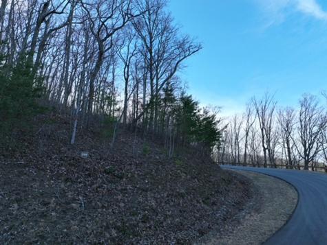 249 Andes Ridge Ellijay GA 30536