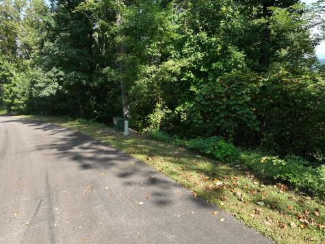 280 Andes Ridge Ellijay GA 30536