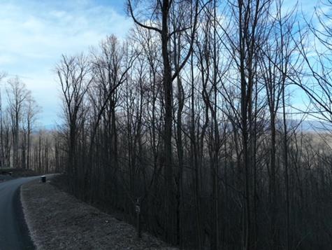 280 Andes Ridge Ellijay GA 30536