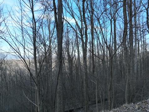 280 Andes Ridge Ellijay GA 30536