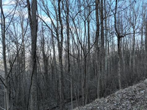 280 Andes Ridge Ellijay GA 30536