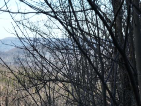 280 Andes Ridge Ellijay GA 30536