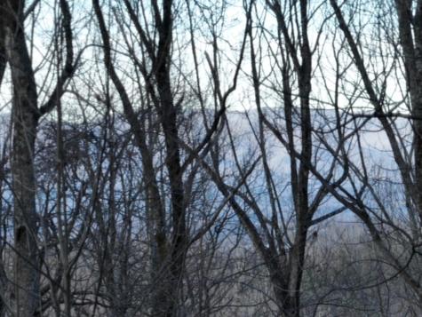 280 Andes Ridge Ellijay GA 30536