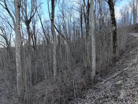 280 Andes Ridge Ellijay GA 30536