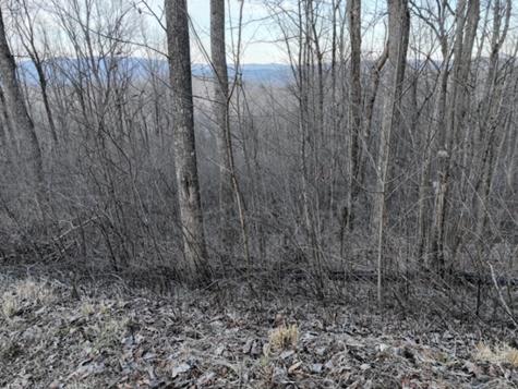 280 Andes Ridge Ellijay GA 30536