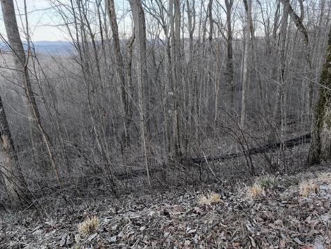 280 Andes Ridge Ellijay GA 30536