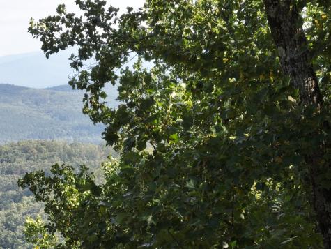 280 Andes Ridge Ellijay GA 30536