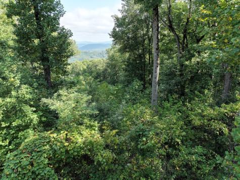 280 Andes Ridge Ellijay GA 30536