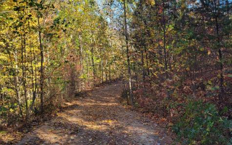 14 Ac Old Burnt Mountain Ellijay GA 30540